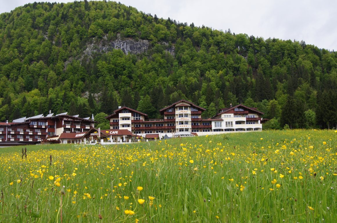 Hotel Alpina