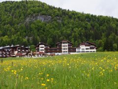 hotel alpina -