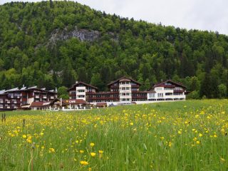 Hotel Alpina