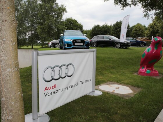 Audi quattro cup -