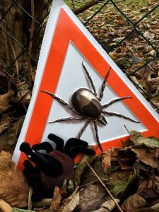 Warnschild Zecken -