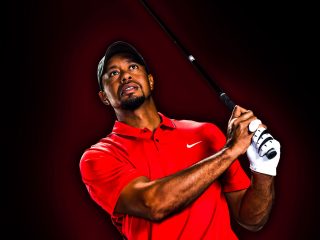 tiger woods -