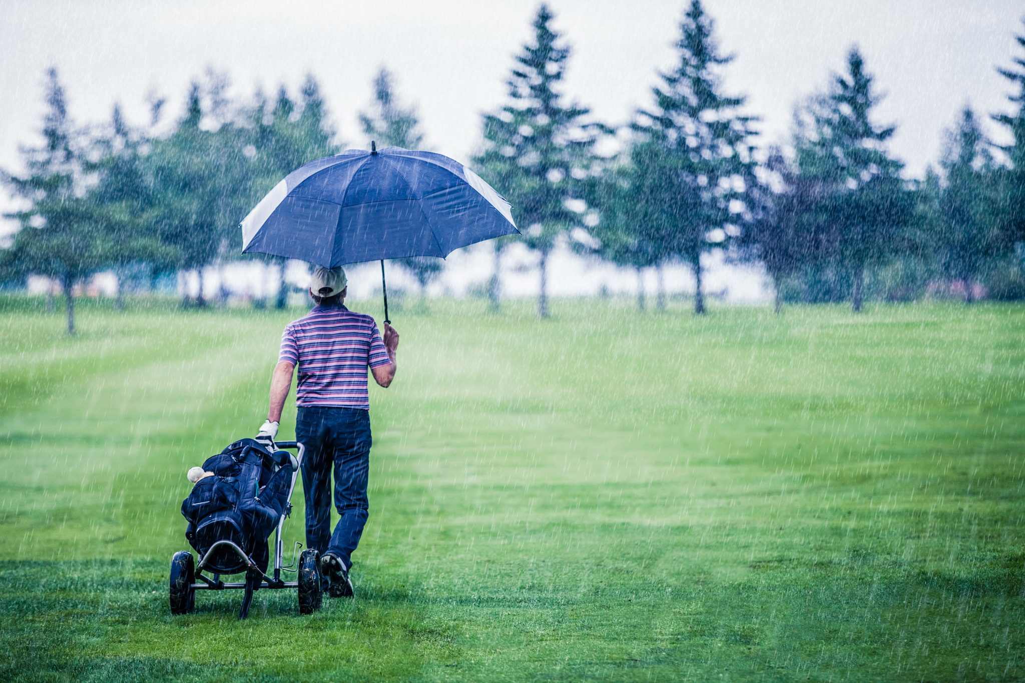 Looking for the rain. Гольф в пасмурную погоду. Sunny Days with Umbrella with people. They're playing Golf in the Rain funny picture for Kids.