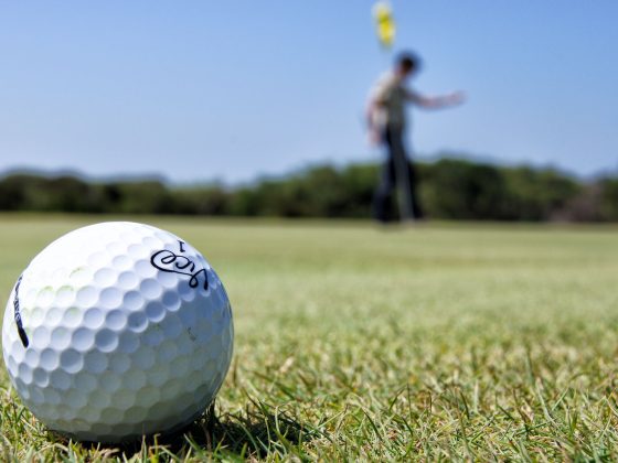 golfball vice -