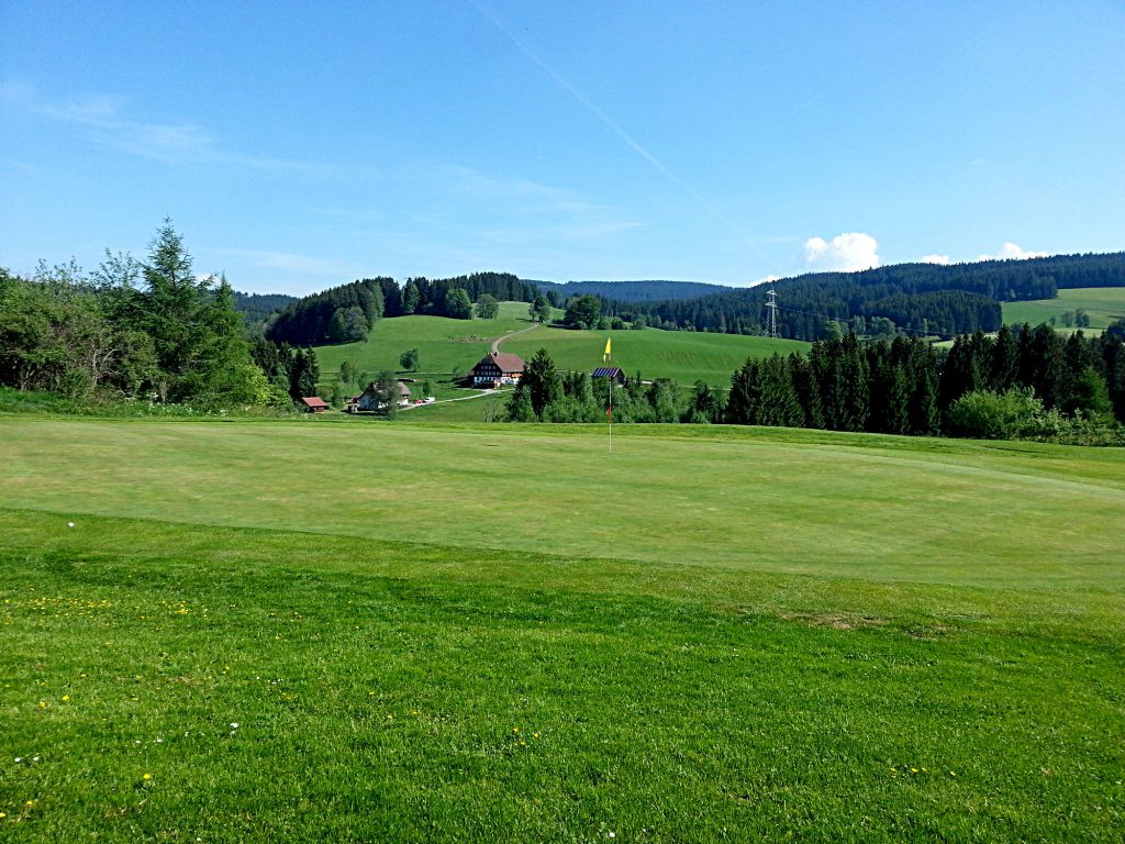 GC Hochschwarzwald Loch 6 -