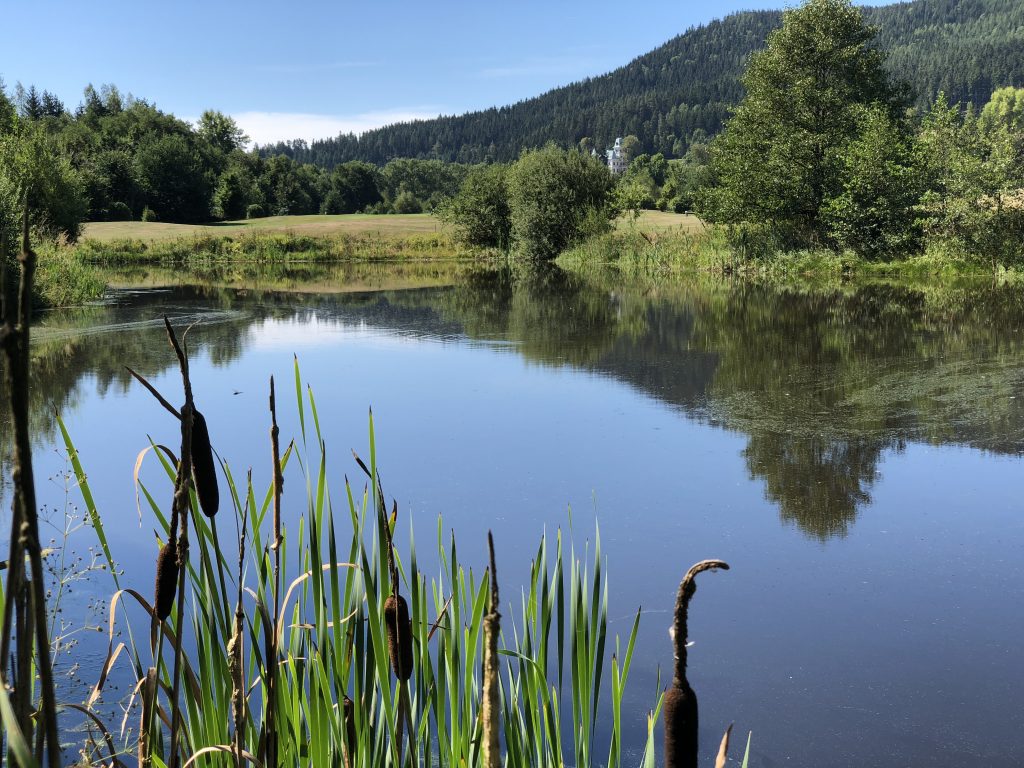 EInes von vielen Wasserhindernissen in Cihelny. -