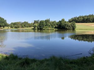 Ein imposantes Wasserhindernis auf dem Platz von Franzensbad. -