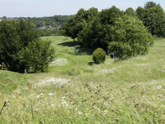 190607 Grevenmuehler Wiesen 013 -