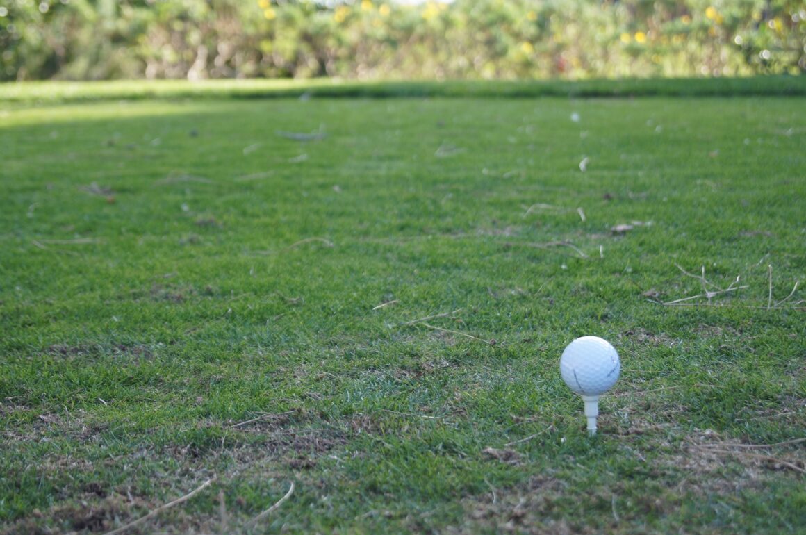 Golfball auf Tee.