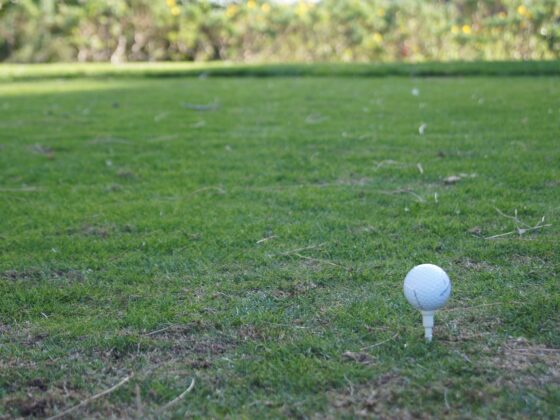 Golfball auf Tee.