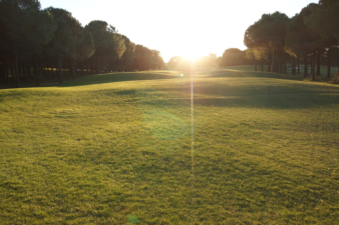 Sonnenuntergang auf dem Golfplatz