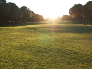 Sonnenuntergang auf dem Golfplatz