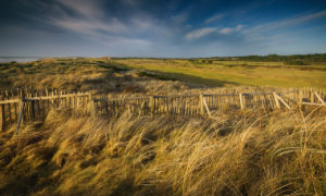 Royal Troon Golf Club dünen -