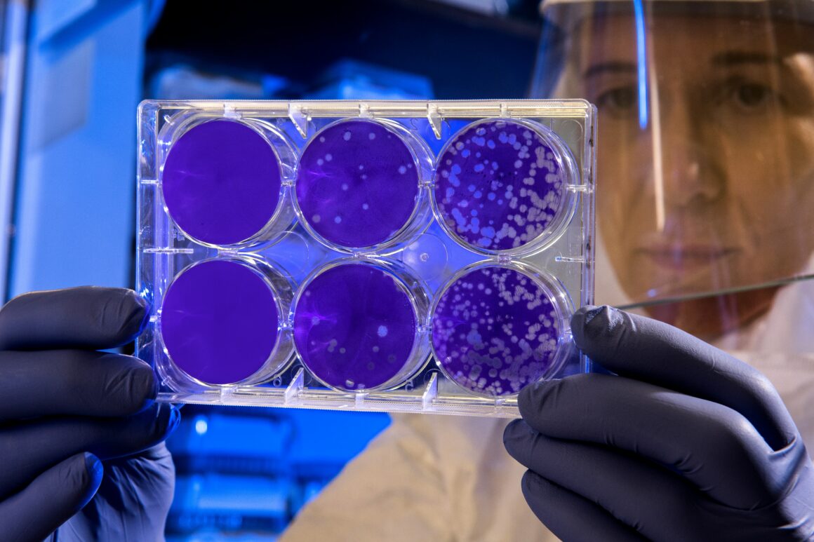coronavirus -