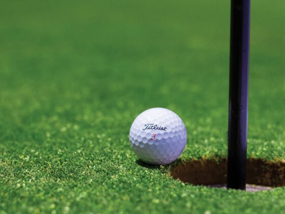 titleist golfball -