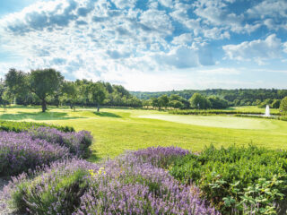 Der Golfclub Schönbuch beeindruckt mit einer Lavendel-Bepflanzung.