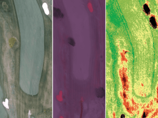 NDVI Vergleich.