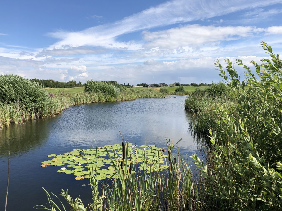 Der 27-Loch-Platz hat rekordverdächtige 5,5 Hektar Wasserfläche.