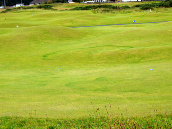 golf in schottland -