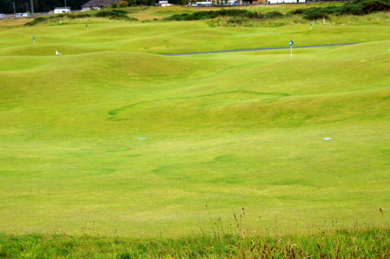 golf in schottland -