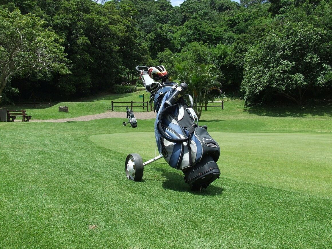 golftrolley -