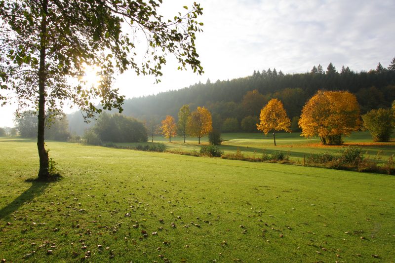 GCHeitlinger Bahn8 -