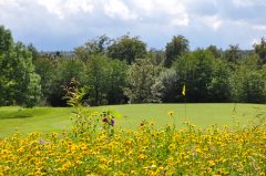 Golfclub Walldürn e.V.