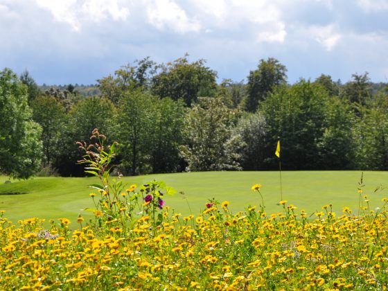 bahn 15 golfclub neusass -