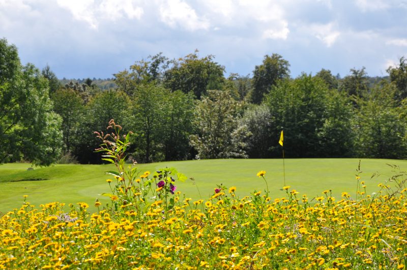 bahn 15 golfclub neusass -