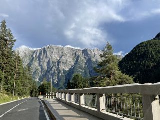 Sloweniens Berge sind Heimat ungezählter Bären.