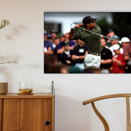 Golfbild: Tiger Woods