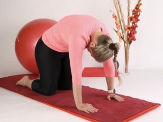 golf pilates Cat Stretch 3 - turkish