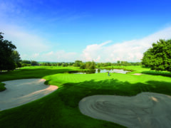 Beckenbauer Golf Course VS83304 -