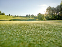 golfplatz brunnwiesBrunnwiesCF017244 -