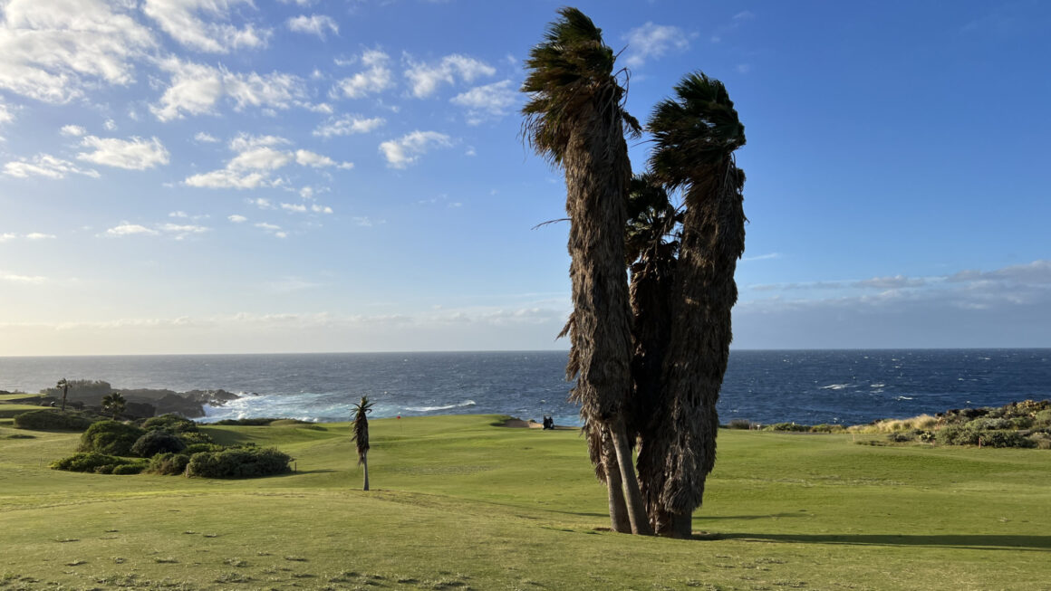 (Buenavista Golf) Achtung: Ballschluckende Palmen!