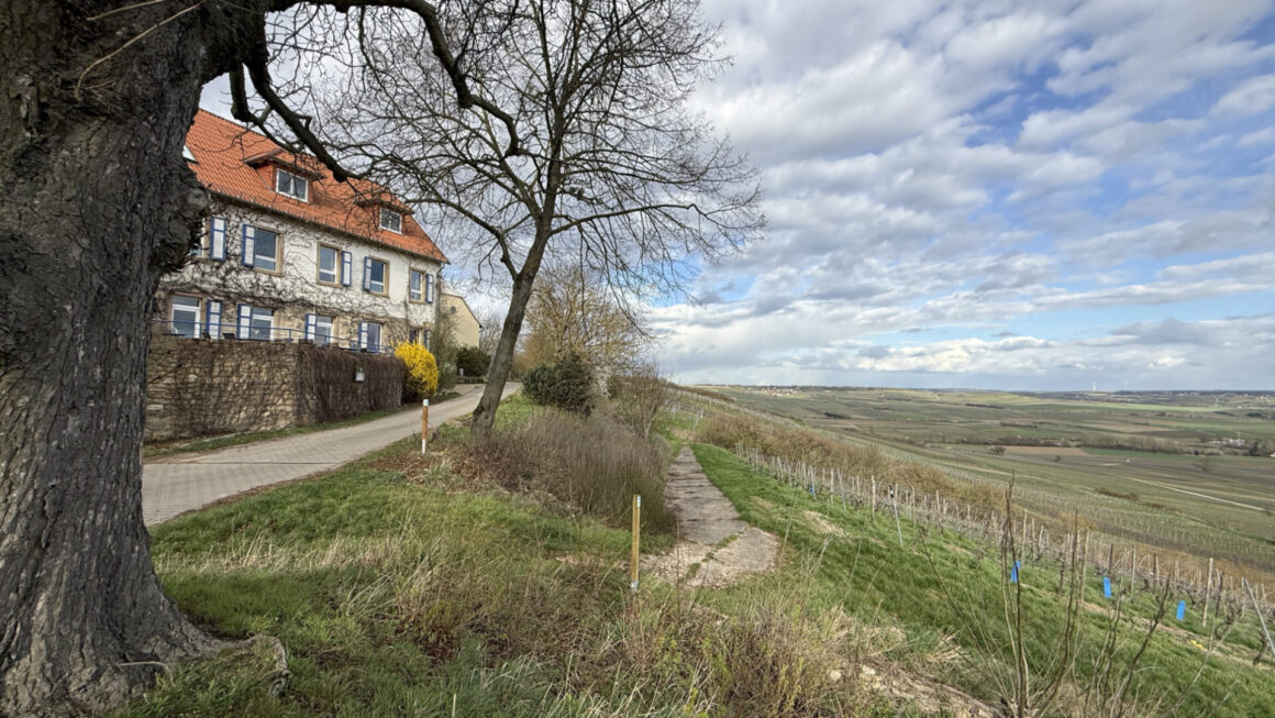 Das Hofgut Wißberg liegt mitten in den Weinbergen.