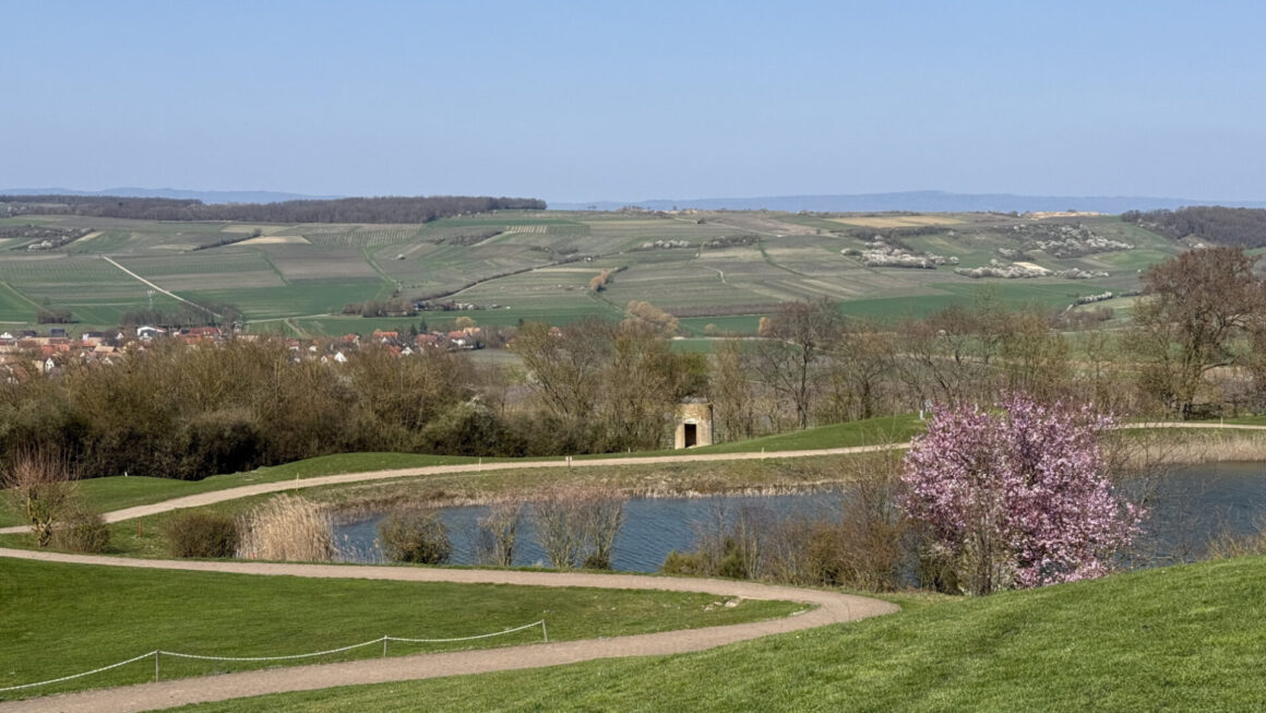 Von unten sieht der Wißberg gar nicht so hoch aus, dabei ist er mit 270 Metern die zweithöchste Erhebung Rheinhessens.