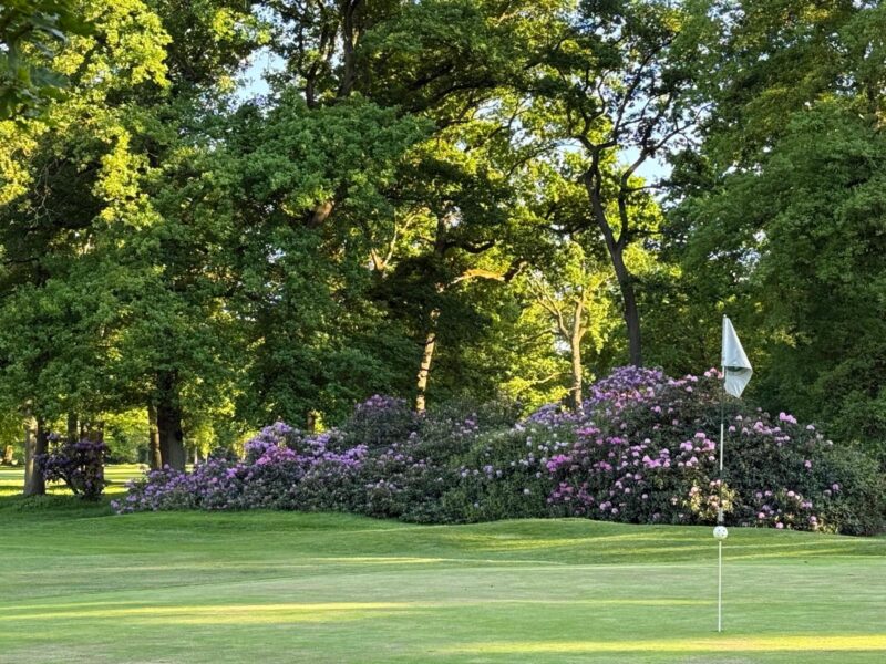 Niederrheinischer Golfclub Duisburg feiert 70 Jahre Niederrheinischer Golfclub Duisburg